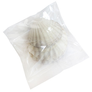 Ракушка Морской гребешок большая белая №7401