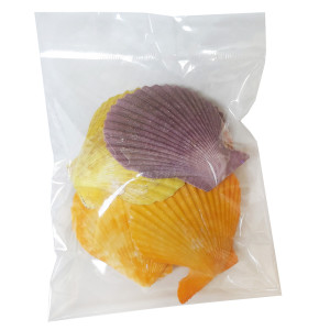 Ракушка Морской гребешок цветная №7402